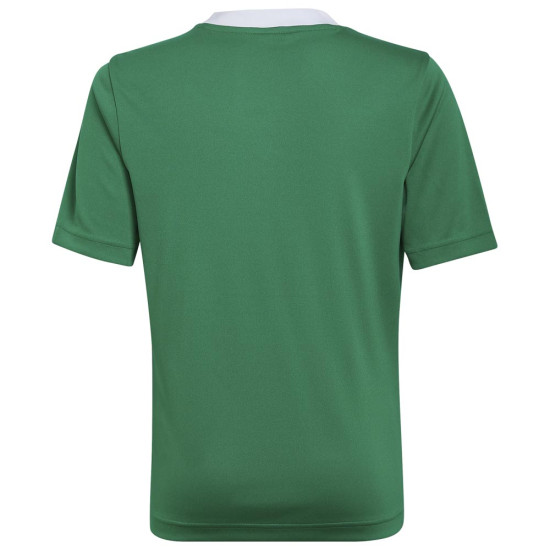 Adidas Παιδική ποδοσφαιρική φανέλα Entrada 22 Jersey